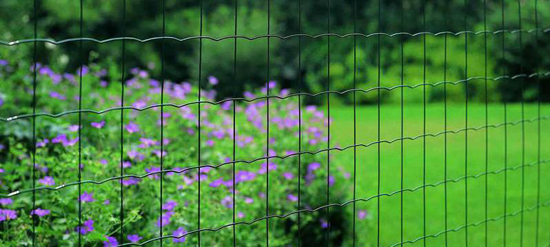 Eurowire Medium grillage de jardin 25m x 1,8m vert